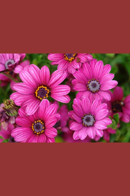 A great writing notebook