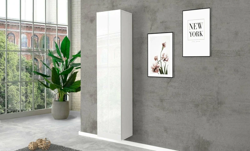 Dmora - Multipurpose Wardrobe Marco, Shoe rack with 1 door and 4 shelves, Multifunctional cabinet, 100% Made in Italy, cm 40x30h180, Glossy white