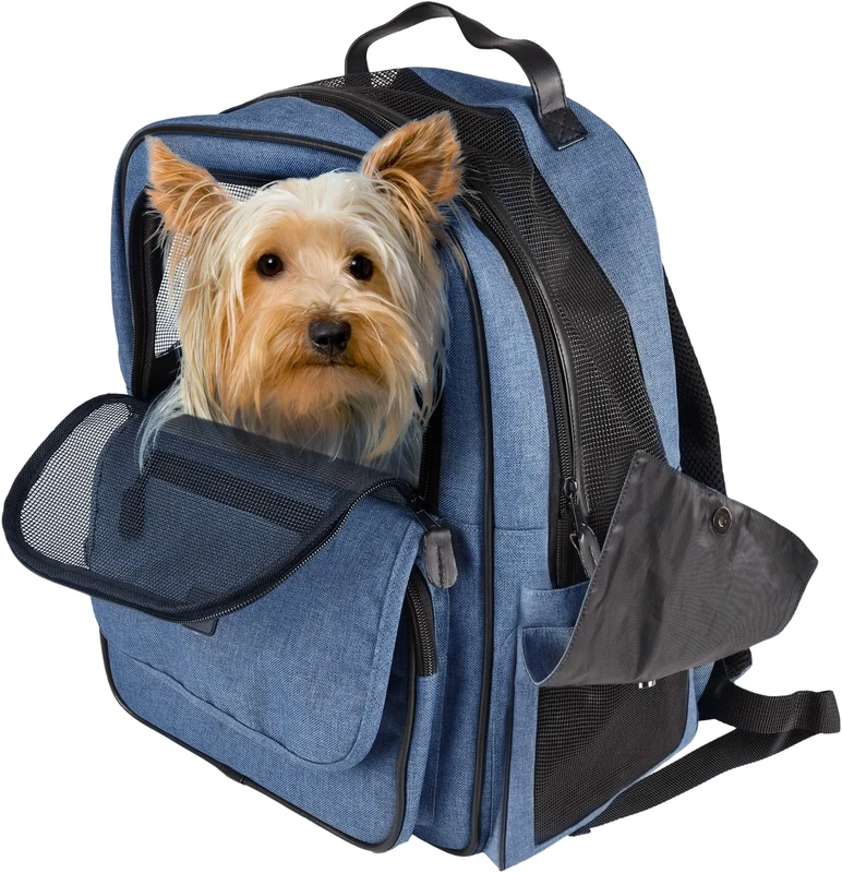 Flamingo BACK PACK WIRO BLUE 40x25x41CM