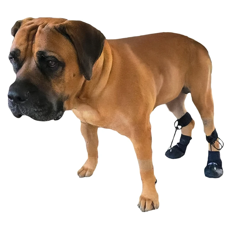 Toe'sUP Walkaboot No Knuckle Boot - Prevent Dragging Paws, Ideal for Pets with Neurological Disorders Causing Front Paw Knuckling (Medium 2-2.5" Width)