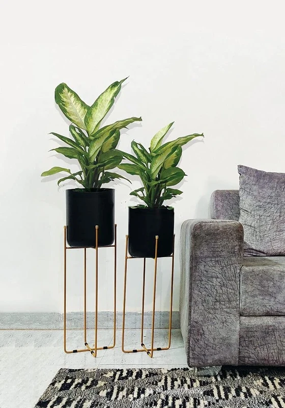 Green Decore Planter, Iron, Black/Brass, Set of 2