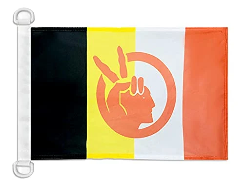 AZ FLAG American Indian Movement Nautical Flag 18'' x 12'', Native American tribe flags 30 x 45 cm, Banner 12x18 in for boat