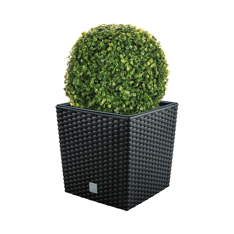 Wellhome Set of 32 Litre Rato Plant Pot with Tank for Planting, Anthracite, 32 x 32 x 32.5 cm + Boxwood Ball Diameter 27 cm