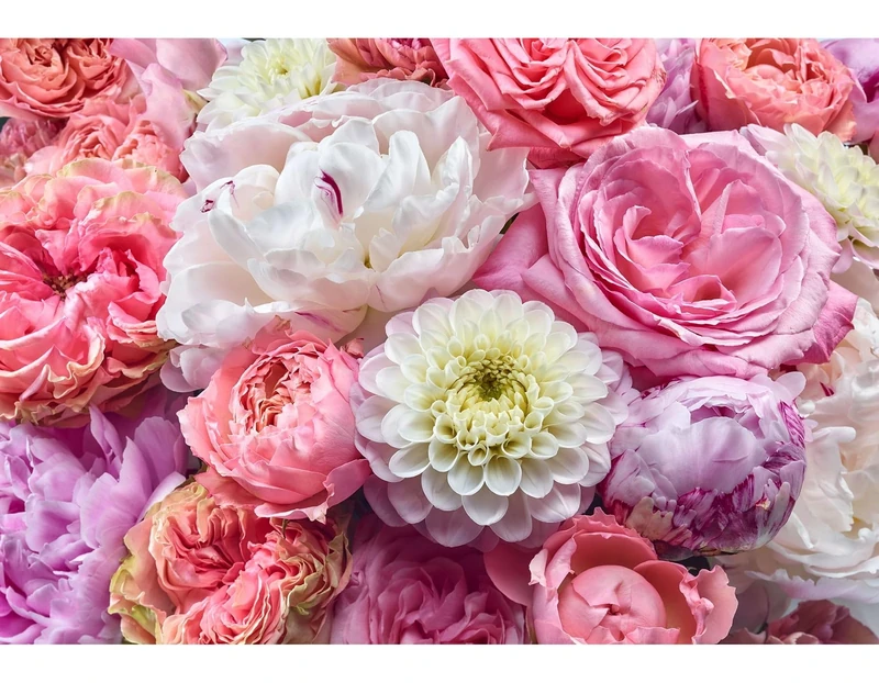 Komar 8-335 Photo Wallpaper Vibrant Spring Size 368 x 254 cm (Width x Height) 8 Pieces Including Paste Wallpaper Flowers Flowers Living Room Bedroom