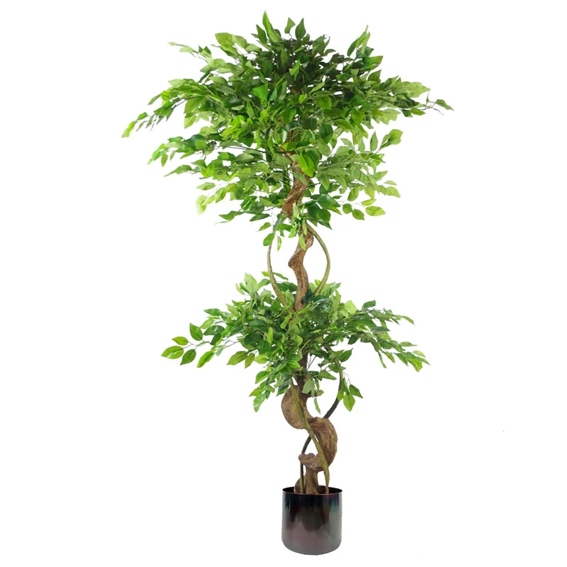 Leaf Realistic Artificial Japanese Fruticosa Ficus Tree, Twisted Large Rainbow, 150cm (5ft)