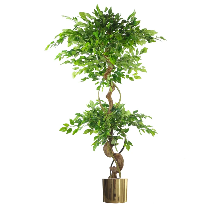 Leaf Realistic Artificial Japanese Fruticosa Ficus Tree, Twisted Large Gold, 150cm (5ft)
