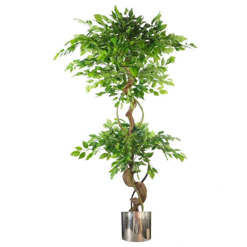 Leaf Realistic Artificial Japanese Fruticosa Ficus Tree, Twisted Large Silver, 150cm (5ft)