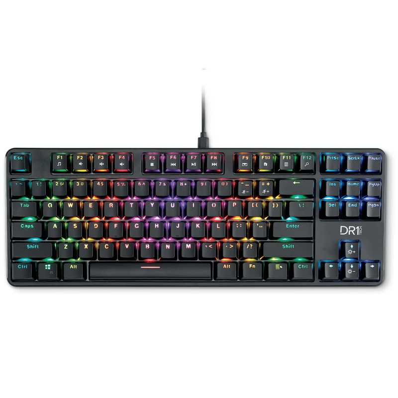 DR1TECH Raven Mechanical TKL Gaming Keyboard for PC/PS4 with RGB Backlight - 87 Keys Anti Ghosting - Ergonomic USB Keyboard with Cable (International Layout)