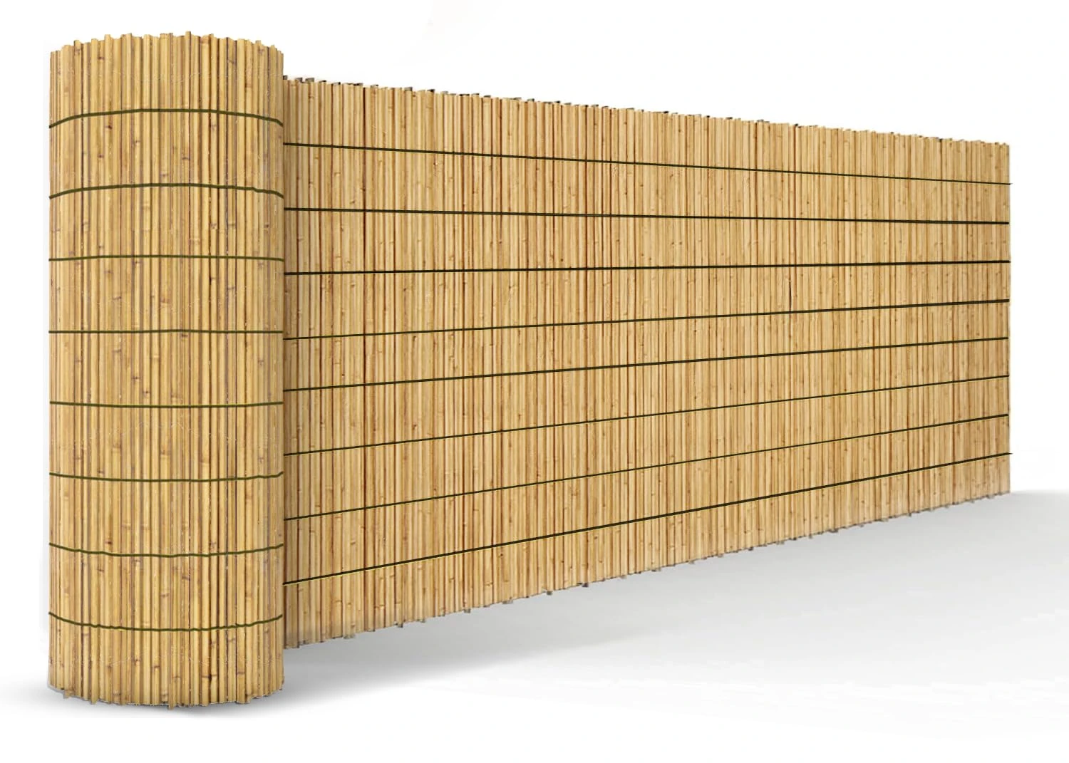 FB FunkyBuys Bamboo Reed Screening – Thick Natural Bamboo Reed Fencing with Cotton String– Garden Screening for Wind Protection – Balcony Backyard Bamboo Reed Fence Screening