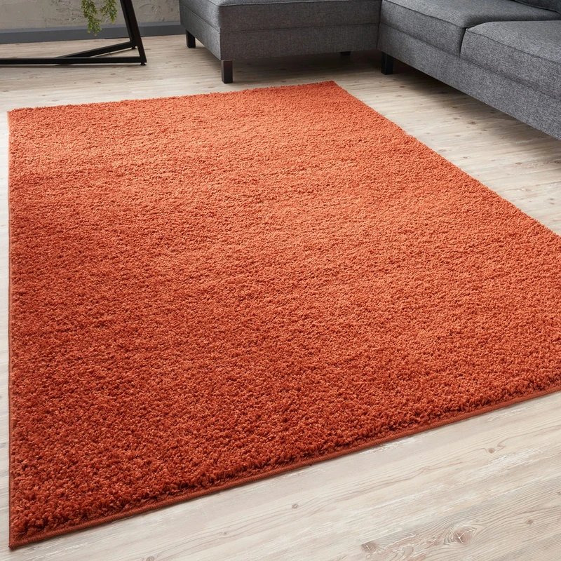 THE RUGS Living Room Rug - Shaggy Soft And Elegant Carpets For The Bedrooms And Kitchen, Easy To Clean, Many Different Sizes (200x290 cm, Terra)