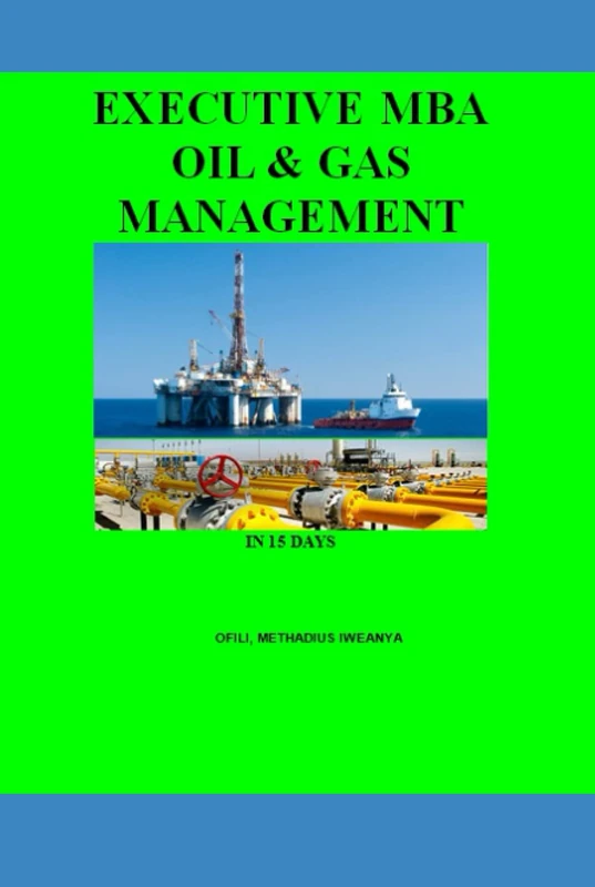 Executive MBA Oil & Gas Management in 15 Days - Book - Image 1