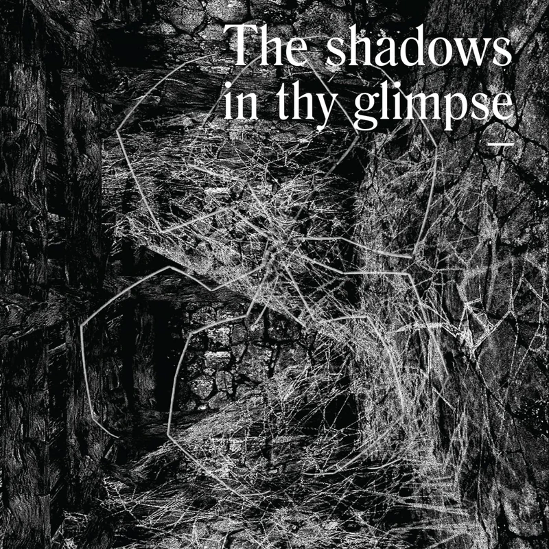 The Shadows In Thy Glimpse: Bedouin Records Selected Discography 2016-2018 [VINYL]