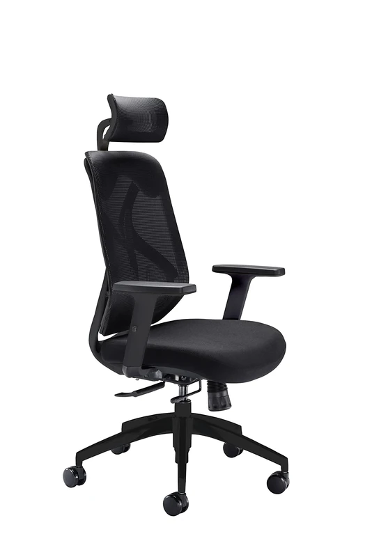 Office Hippo Ergonomic Office Chair with Lumbar Support, Mesh, Black