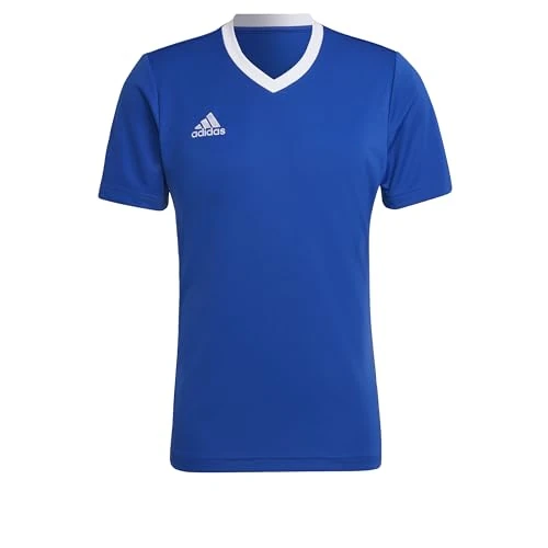 adidas Men's Entrada 22 Jersey, Royal Blue, XXL