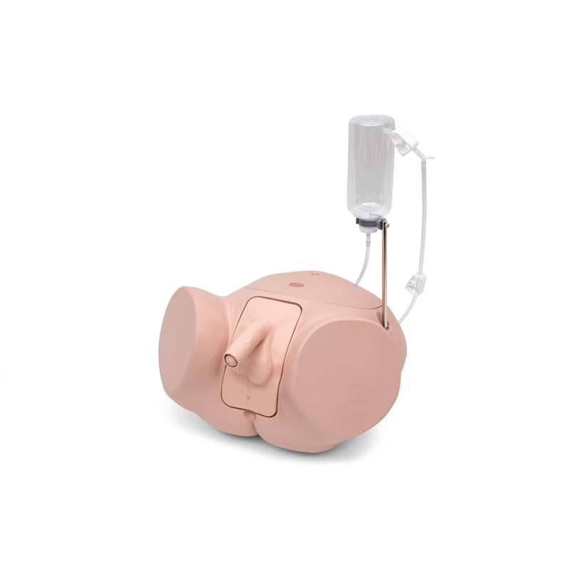 3B Scientific P93SPC‑M Male Catheterization Simulator PRO (Light Skin)