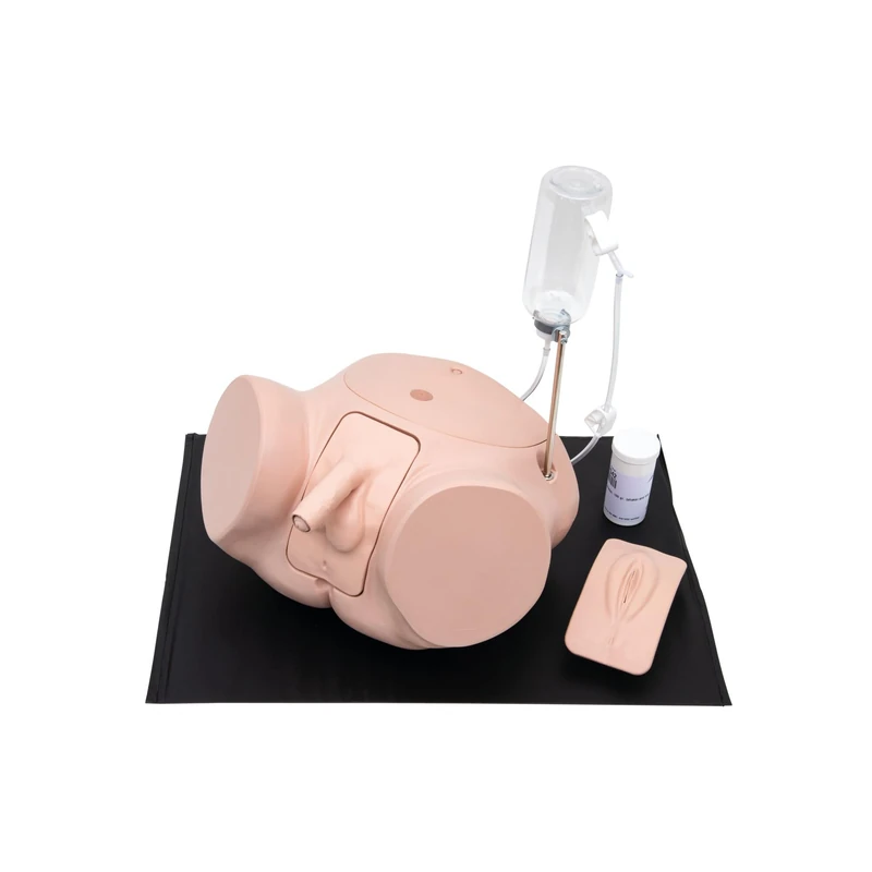 3B Scientific P93SPC-S Catheterization Simulator PRO Set