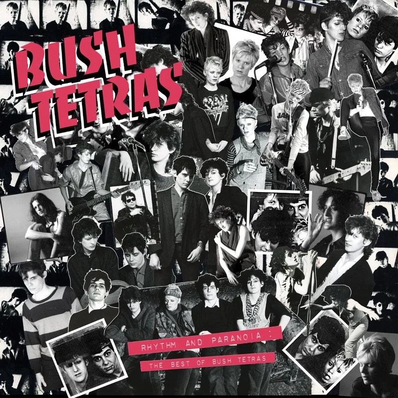 Rhythm and Paranoia: The Best of Bush Tetras [VINYL]