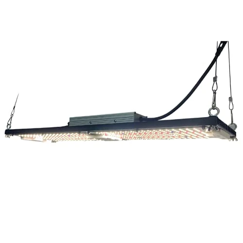 URBAN BUDDY 240w LED Quantum Board - Bloom Spec