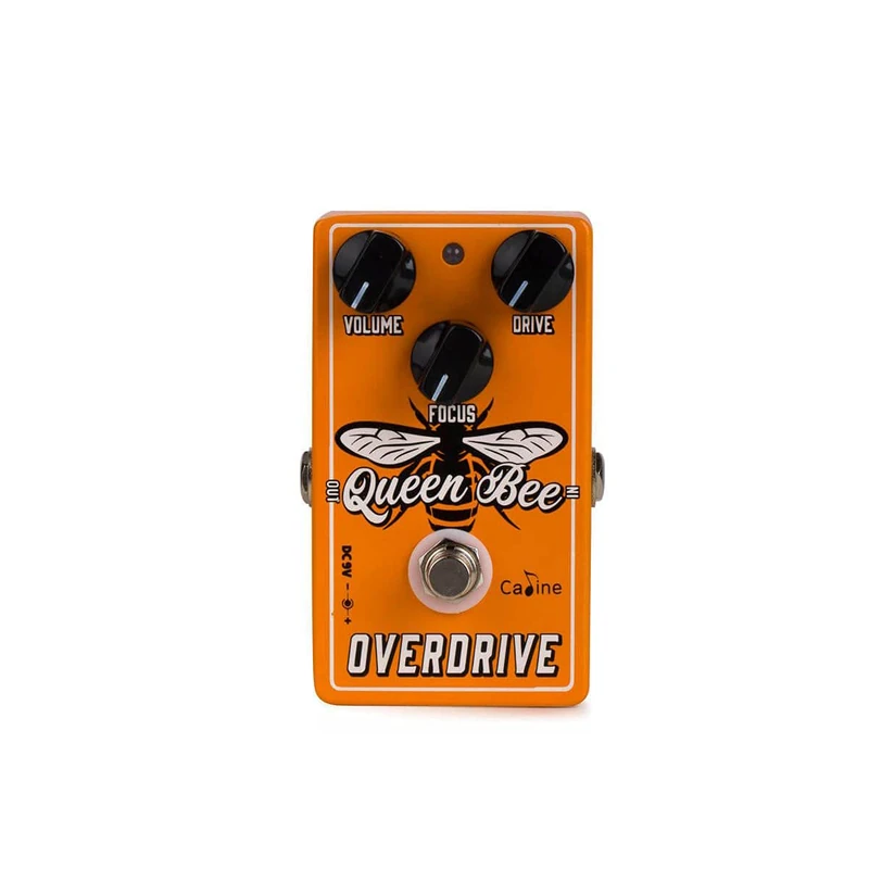 Caline CP-503 Queen Bee Overdrive Pedal