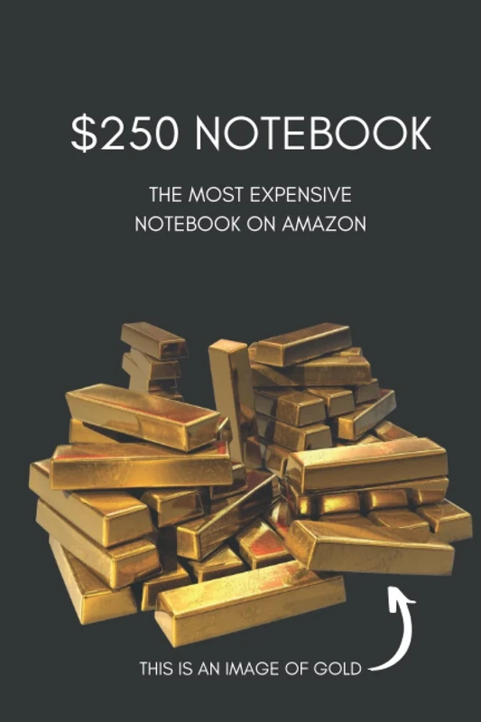 $250 NOTEBOOK: THE MOST EXPENSIVE NOTEBOOK ON AMAZON