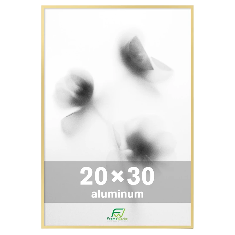 FrameWorks 20” x 30” Gold Brushed Aluminum Poster Picture Frame with Plexiglass 1-Pack