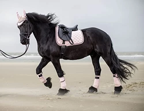 HKM Copper Kiss Saddle pad Dunkelblau Pony Dressur