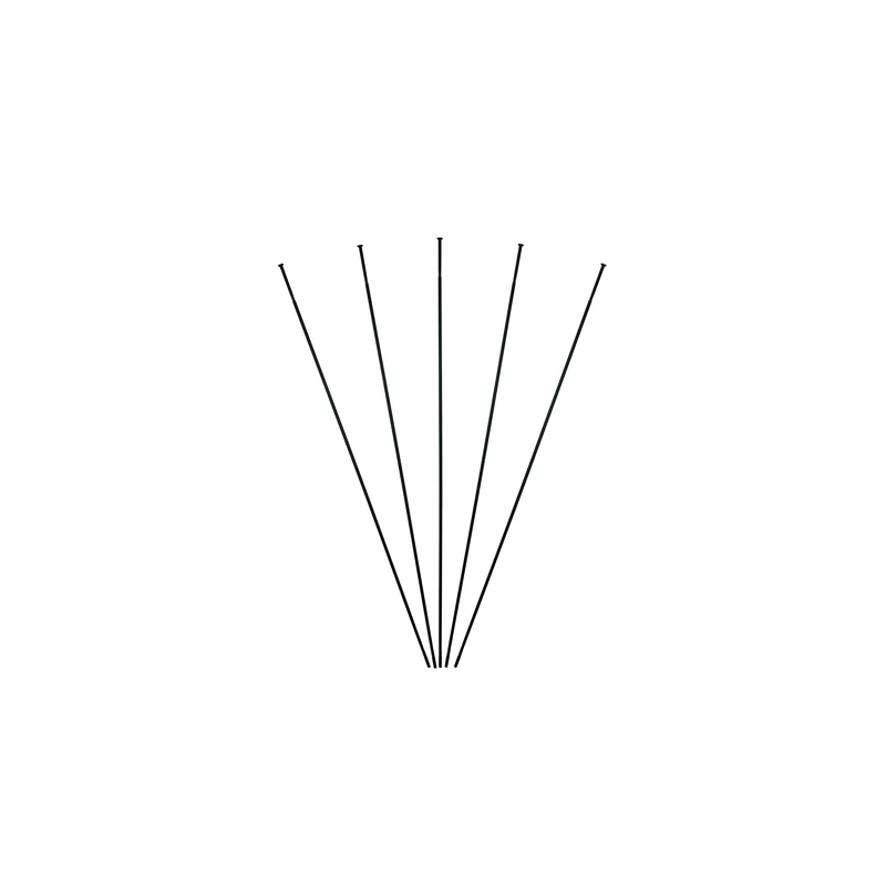 Set of 5 front spokes Massi