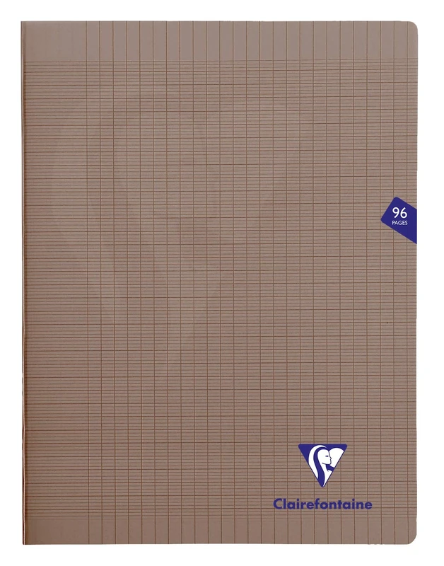 Clairefontaine 363361C - One Set of 10 Mimesys Grey Stapled Notebooks - Dimensions: 24x32 cm - 96 Seyes Ruled Pages - White Paper 90 g - Polypro Cover