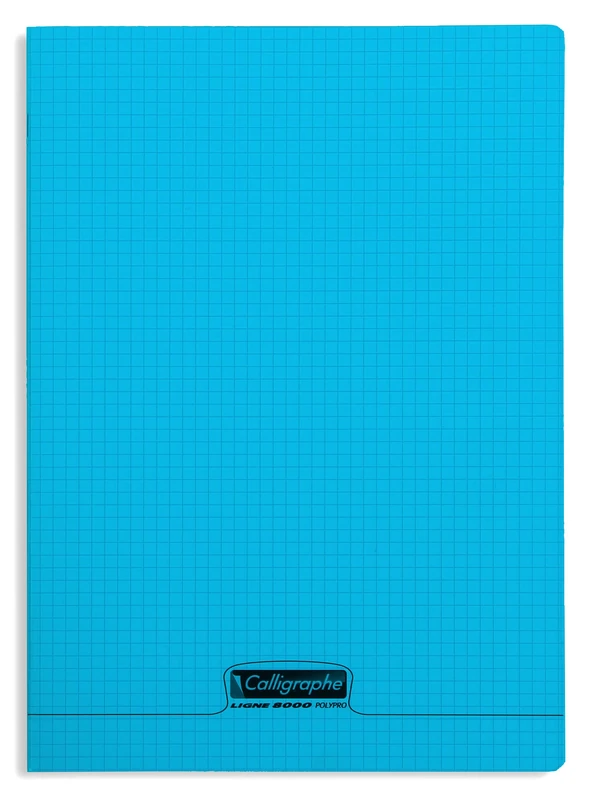 Calligraphe 18382C A Set of 10 Blue Stapled Notebooks (a Clairefontaine Brand) - 24x32 cm - 96 Small Squares Pages - White Paper 90 g - Transparent Polypro Cover