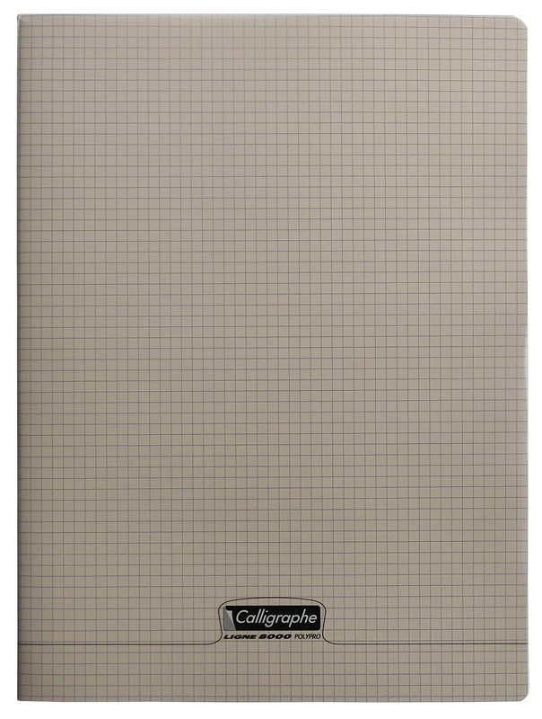 Calligraphe 18386C A Set of 10 Grey Stapled Notebooks (a Clairefontaine Brand) - 24x32 cm - 96 Small Squares Pages - White Paper 90 g - Transparent Polypro Cover