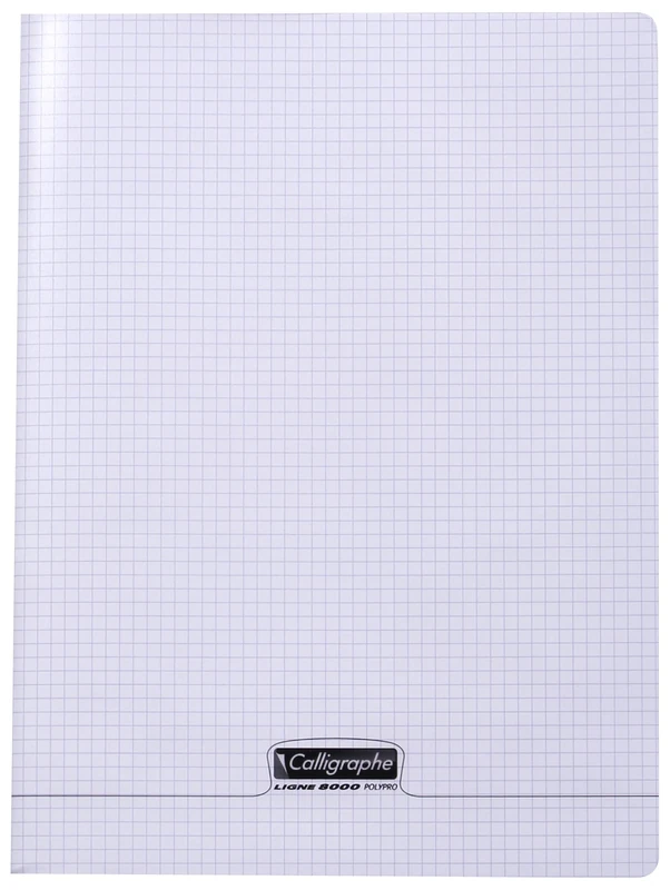 Calligraphe 18190C A Set of 10 Clear Stapled Notebooks (a Clairefontaine Brand) - 24x32 cm - 96 Small Squares Pages - 90 g White Paper - Transparent Polypro Cover