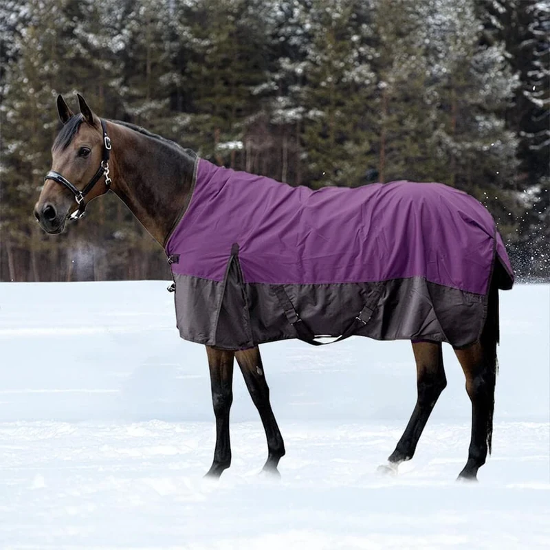 HKM St. Louis 600D, with fleece Turnout rug Lilac/Dark Lilac 5'6