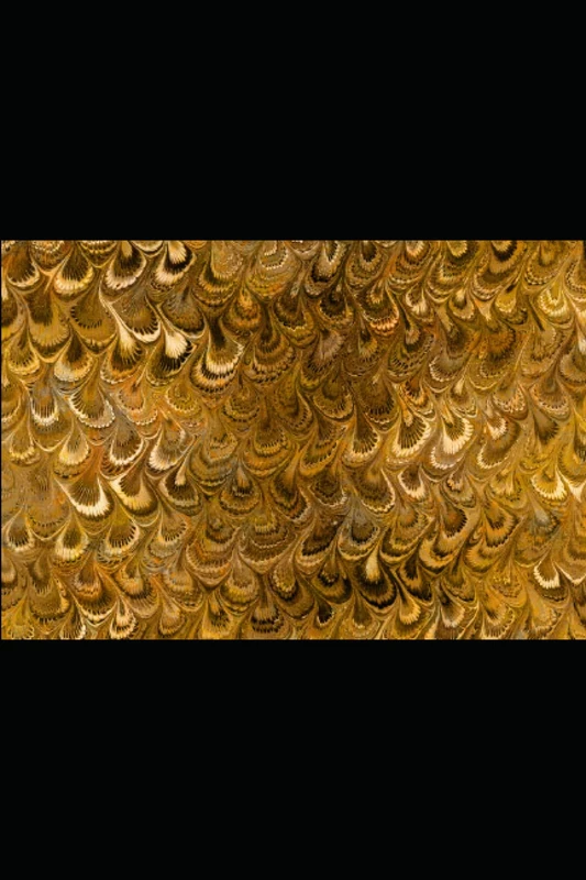 2021 WOODEN NICKELS: PRINCIPLES OF CORPORATE FINANCE - Image 1