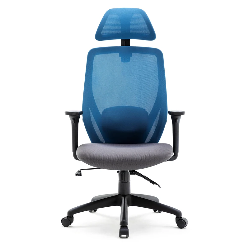 HNNHOME Recline Ergonomic Office Chair with Back Support and Headrest, Tilt Function Position Lock, Home Office Computer Desk Chair with Lumbar Support