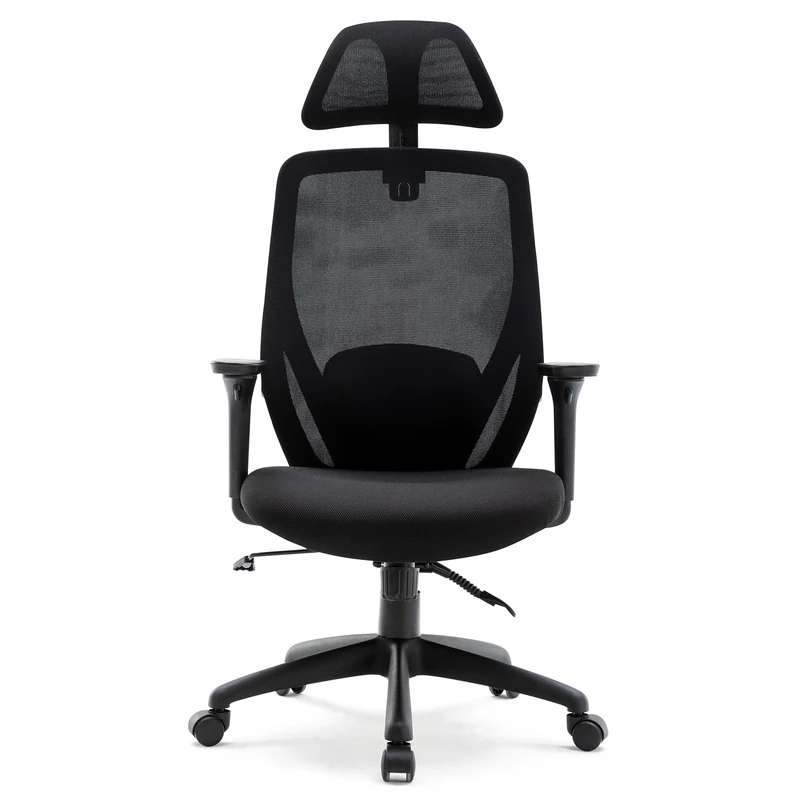 HNNHOME Recline Ergonomic Office Chair with Back Support and Headrest, Tilt Function Position Lock, Home Office Computer Desk Chair with Lumbar Support, Breathable Mesh Executive Office Chair