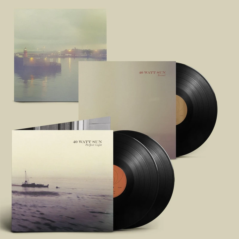 A Perfect Light [VINYL]