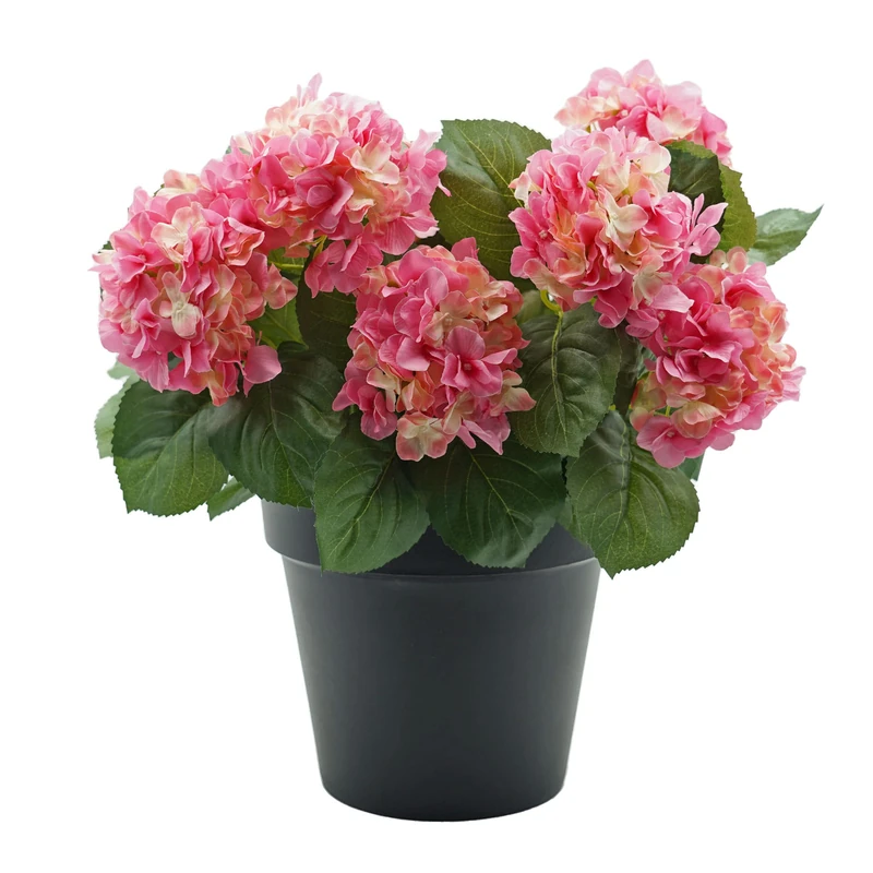 GreenBrokers Premium Quality Artificial Pink Hydrangea Flower Bush in Black Pot (50cm) with Nine Flower Clusters for Home or Outdoor Living