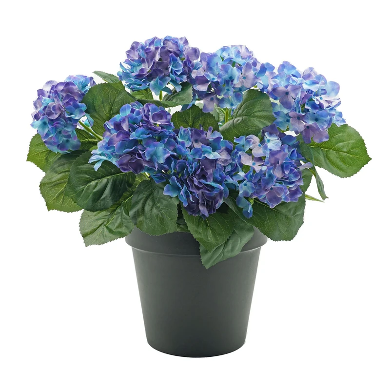 GreenBrokers Premium Quality Artificial Blue Hydrangea Flower Bush in Black Pot (50cm) with Nine Flower Clusters for Home or Outdoor Living