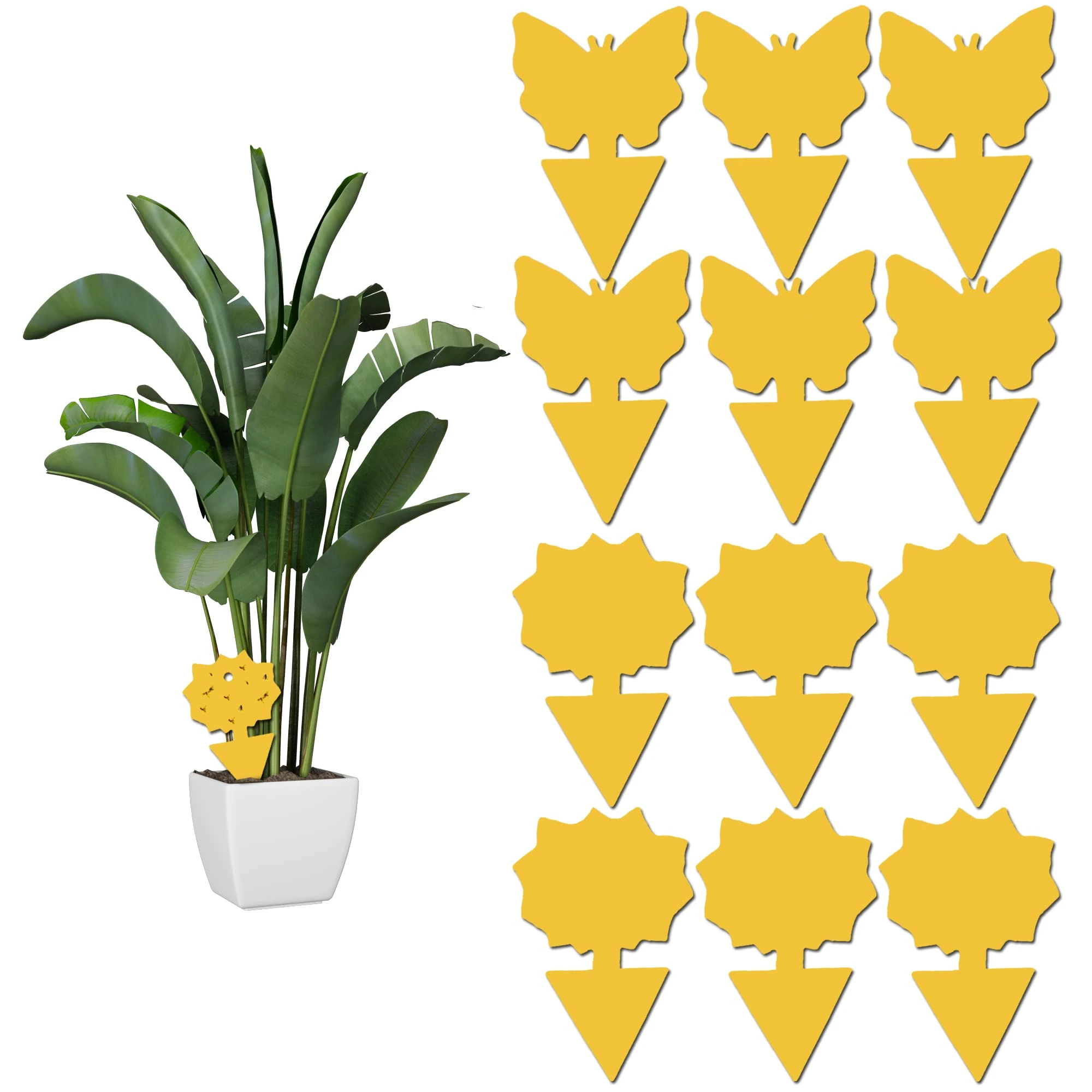 12 pack Sticky Fruit Fly and Fungus Gnat Trap Yellow Sticky Fly Traps Insect Killer for Houseplant indoor and outdoor plants