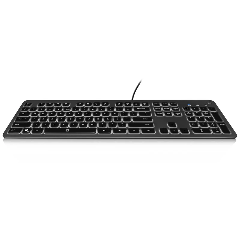 Ewent EW3268 LED backlit keyboard, USB wired, full-size, large print, Italian QWERTY layout, black/grey
