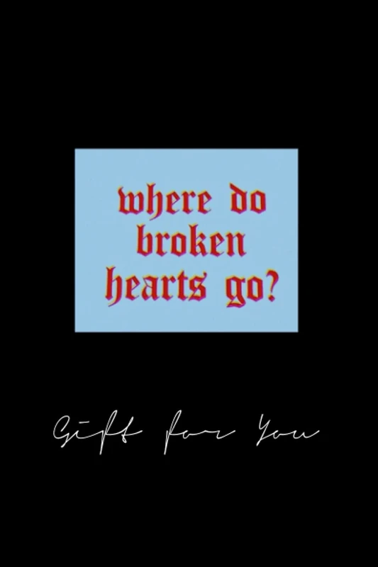xcjkgfur1261 where do broken hearts go -120 page notebook