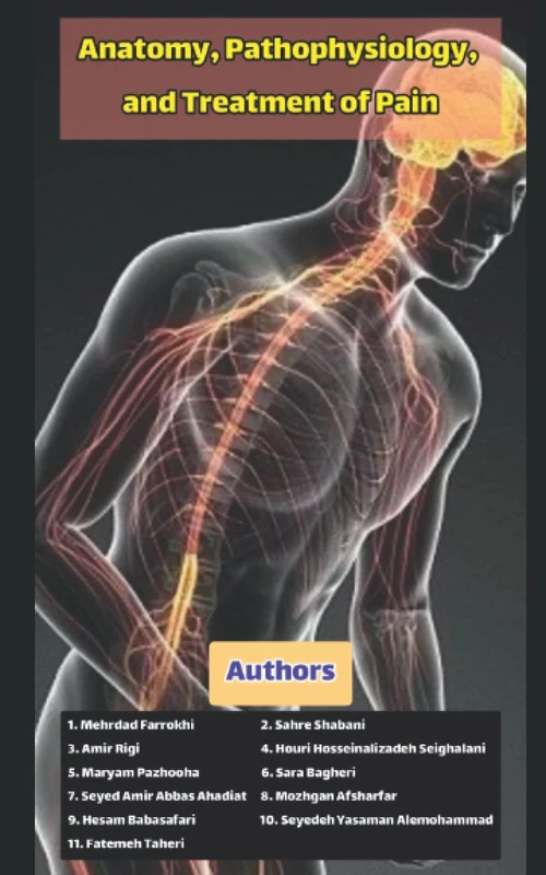 Anatomy, Pathophysiology, and Treatment of Pain