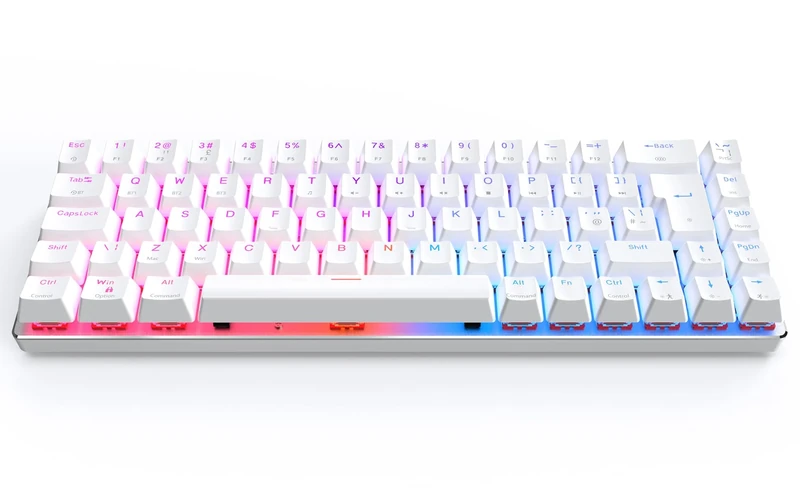 CIY X79 65% Wireless Mechanical Keyboard/RGB Gaming Keyboard/Hot Swappable/Anti Ghosting/N-Key Rollover/UK Layout 69 Key/Wired Keyboard for Mac Windows
