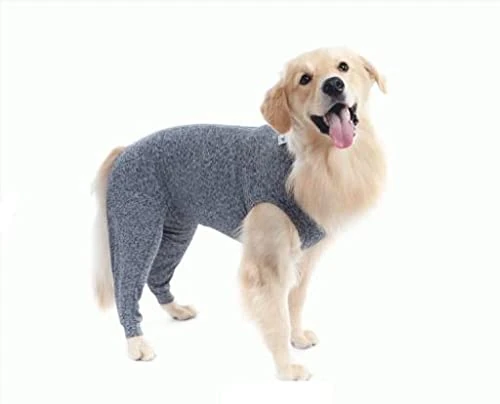 Dry Comfort T11 1UD PETMED Rear END Protector