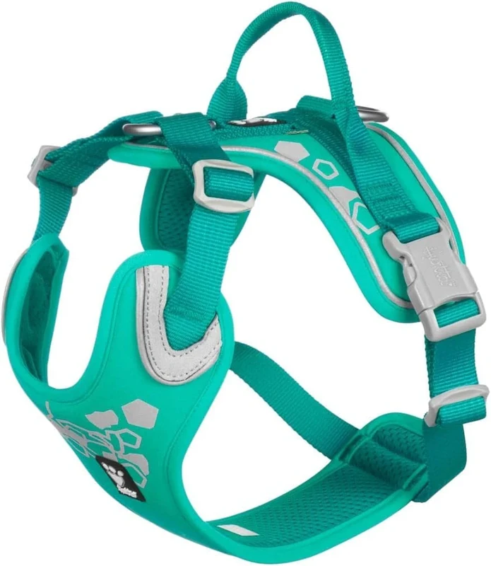 Hurtta Weekend Warrior Dog Harness for Small Dogs, Peacock Turquoise, 40-45 cm