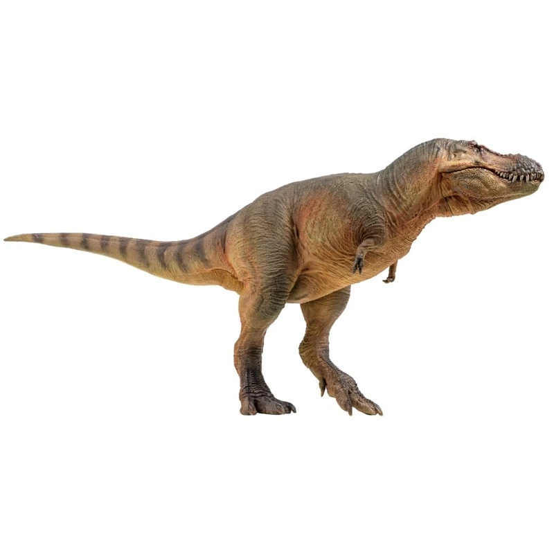 PNSO Luxiong the Zhuchengtyrannus