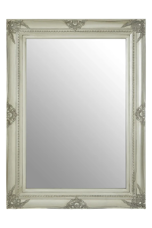 Premier Housewares Wall Mirror/Mirrors For Garden/Bathroom/Living Room Antique Effect Rectangular Frame/Silver Finish Wall Mounted Mirrors W83 X D5 X H113cm.