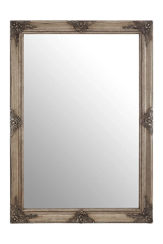 Premier Housewares Rectangular Wall Mirror/Classic Mirrors For Bathroom/Bedroom/Garden Walls Fancy Wall Mounted Mirrors For Hallway With Shiny Gold Finish 104 x 5 x 74