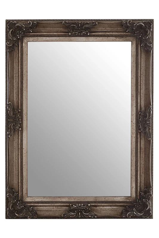 Premier Housewares Rectangular Wall Mirror/Classic Mirrors For Bathroom/Bedroom/Garden Walls Fancy Wall Mounted Mirrors For Hallway With Antique Silver Finish 83 x 7 x 113
