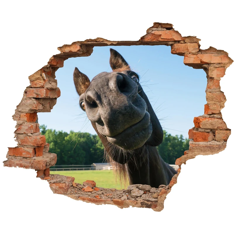 WCB Wall Sticker 90 x 74 cm with View of Horse Head